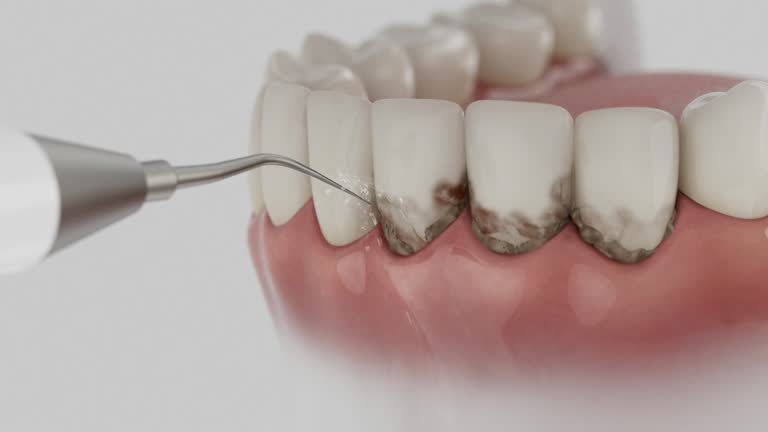 Reliable Dental contractor in Ketchum, ID by Dentist Open Now